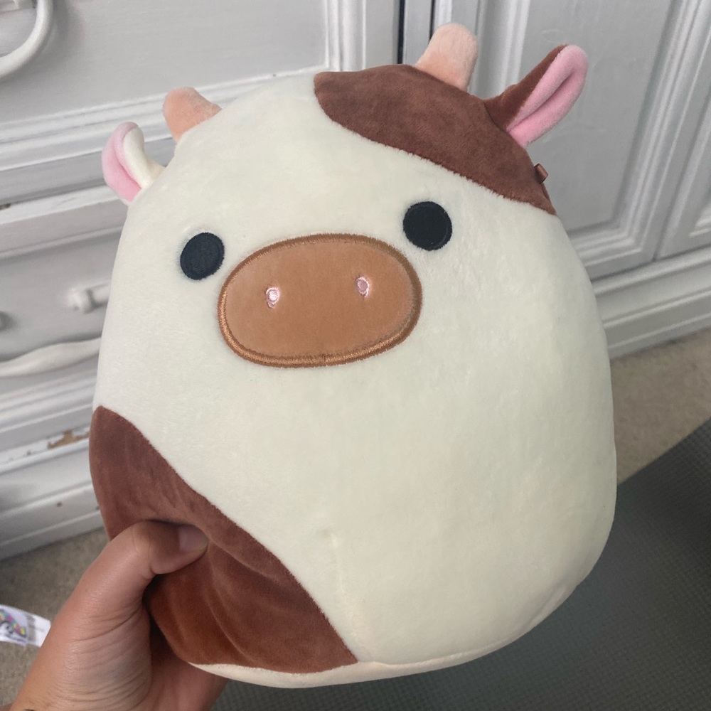8 in Ronnie Squishmallow